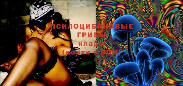 ГАЛЛЮЦИНОГЕННЫЕ ГРИБЫ Алексин