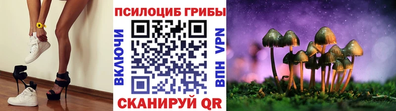Галлюциногенные грибы GOLDEN TEACHER  Камешково 